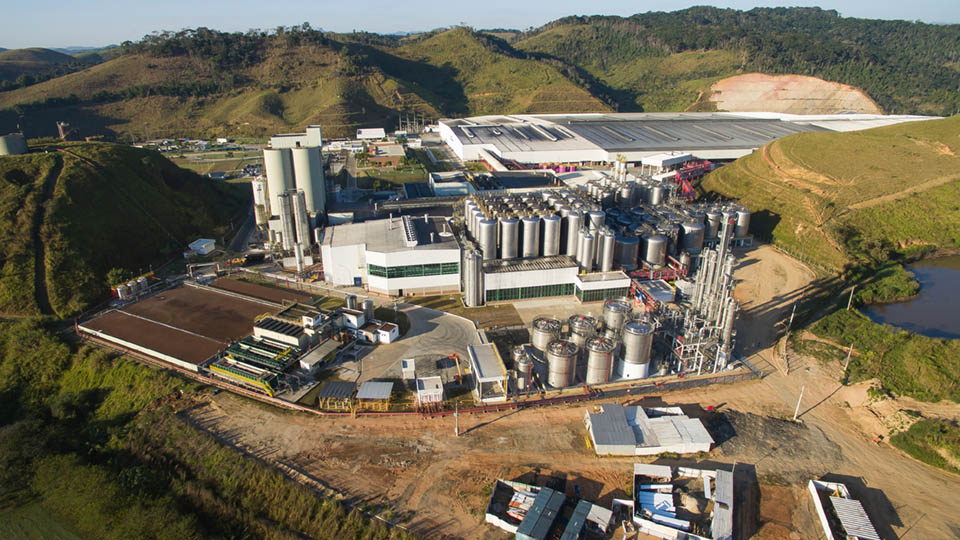 Ações da Ambev saltam 11% e impulsionam Ibovespa; dólar cai para R$ 4,92 João Santos