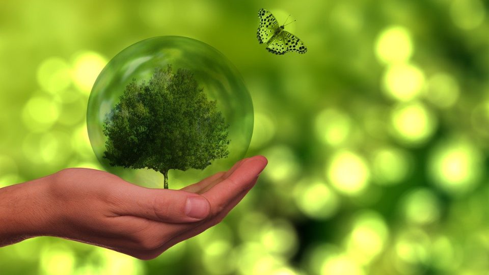 Semana do Meio Ambiente: conheça o índice ICO2 e as empresas que compõem sua carteira joao.santos@estadao.com
