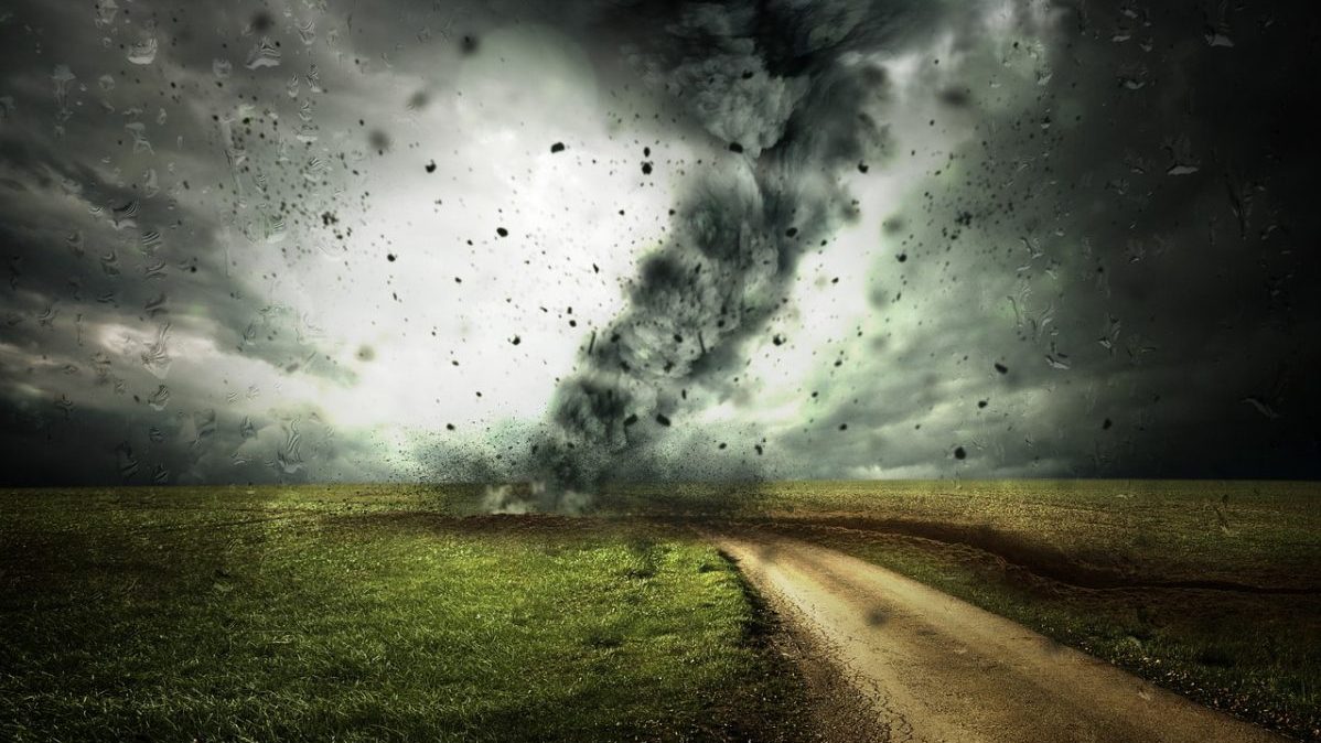 El Niño: do agronegócio às contas de luz; entenda como fenômeno deve encarecer a vida do brasileiro João Santos