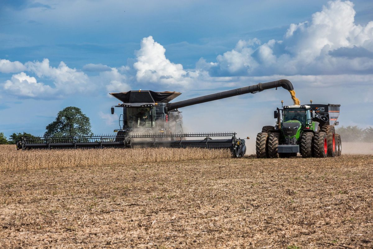 Valor da produção agrícola brasileira recua 3,9% em 2024, mostra IBGE João Santos