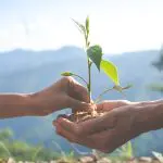 Sustentabilidade
