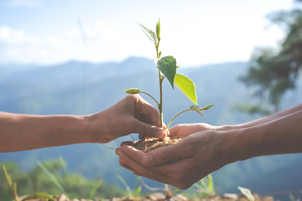 Sustentabilidade
