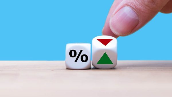 Veja os índices da Bolsa que mais se valorizaram e os que mais caíram em 2024 Maeli Prado