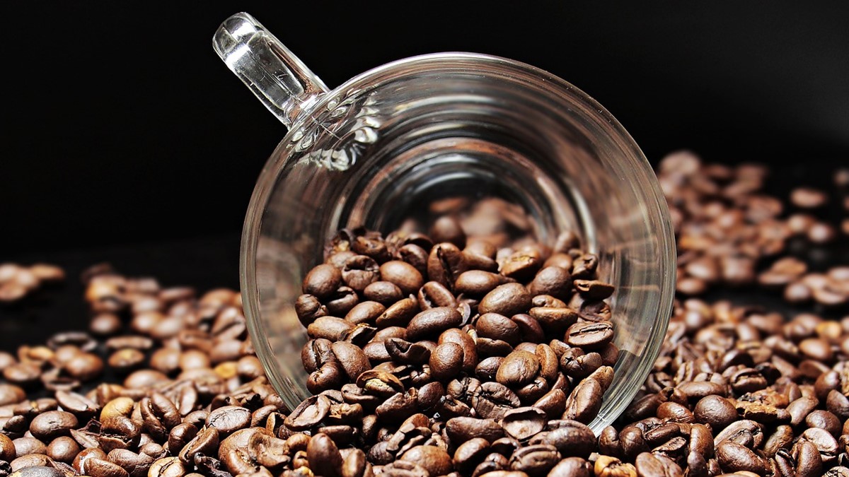 Redução de taxação de Trump traz só pequeno alívio para o Brasil; entenda Daniela Frabasile