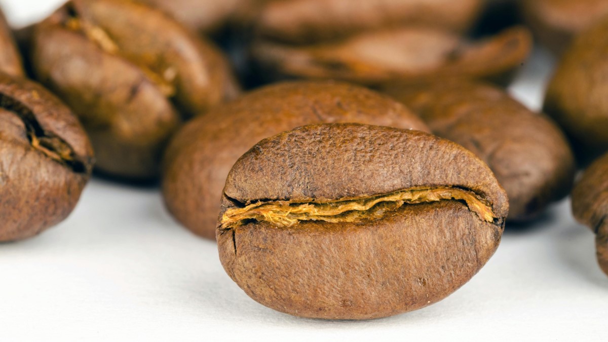 Trump anuncia tarifa de 50% ao Brasil; veja os produtos mais exportados aos EUA Daniela Frabasile