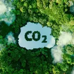 Floresta com um lago no meio escrito CO2. Foto: Adobe Stock