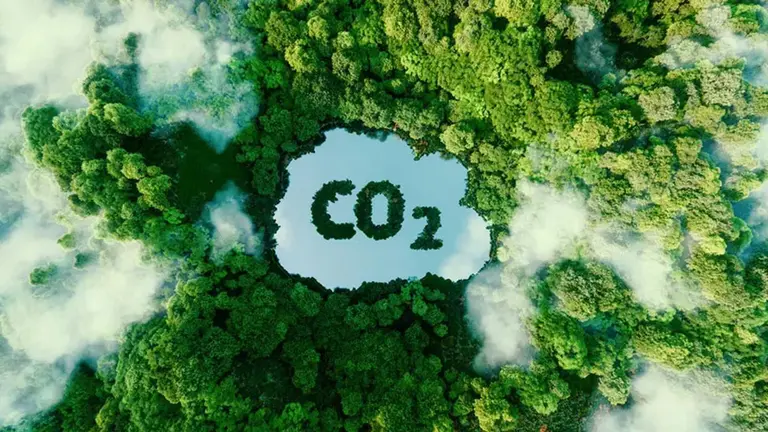 Floresta com um lago no meio escrito CO2. Foto: Adobe Stock