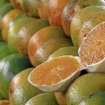 Petróleo, combustíveis, suco e polpa de laranja, minérios, fertilizantes, motores, peças, componentes e aeronaves civis estão entre os produtos que ficaram de fora da sanção adicional de 50%. Foto: Governo Sergipe/Divulgação