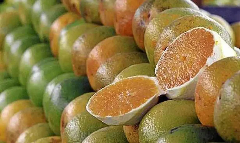 Petróleo, combustíveis, suco e polpa de laranja, minérios, fertilizantes, motores, peças, componentes e aeronaves civis estão entre os produtos que ficaram de fora da sanção adicional de 50%. Foto: Governo Sergipe/Divulgação