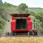 Mercado de capitais tem ganhado relevância no financiamento do agronegócio. Foto: Pexels
