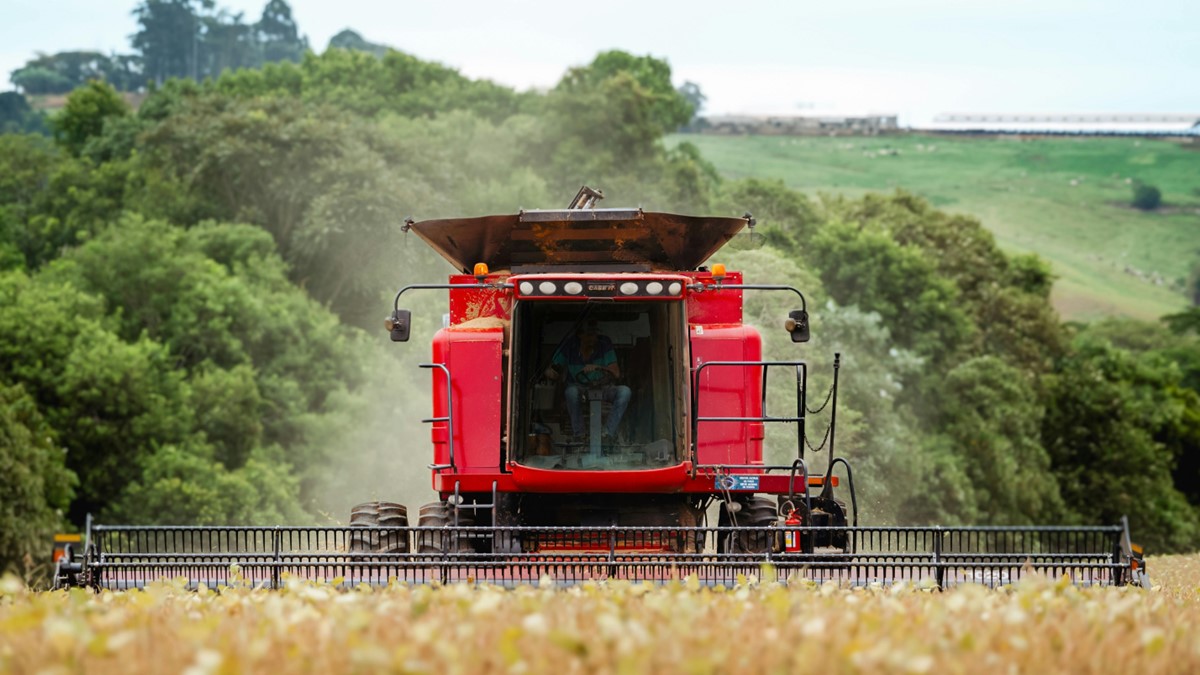 Com crescimento de CRAs e Fiagros, mercado de capitais acelera financiamento ao agronegócio brasileiro Daniela Frabasile