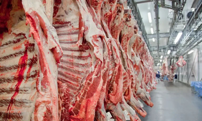 Em julho, Brasil embarcou 313 mil toneladas de carne, alta de 17,2% em 12 meses. Foto: Divulgação/Abiec